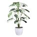 Planta artificiala Monstera Variegata Halfmoon - 115 cm