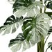 Planta artificiala Monstera Variegata Halfmoon - 115 cm